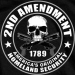 Hot Leathers GMD1158 Mens ‘2nd Amendment America’s Original Homeland Security’ Black T-Shirt - Image 5