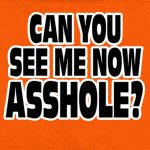 Hot Leathers GMD5090 Mens ‘Can You See Me Now A****** Sleeveless  Safety Orange Denim Shirt - Image 6